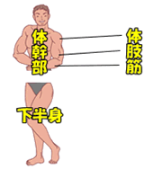 3分割の実践例2