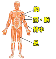 4分割の実践例2