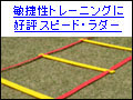 トレーニングラダー